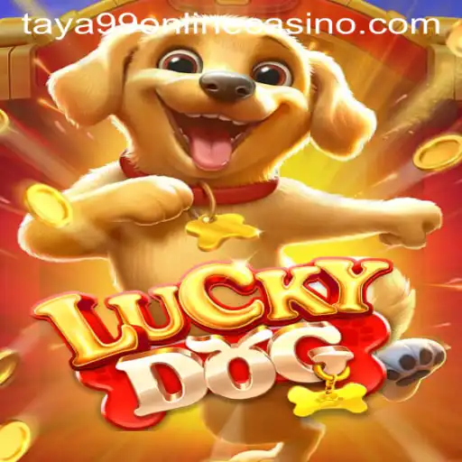 Exploring LuckyDog Game