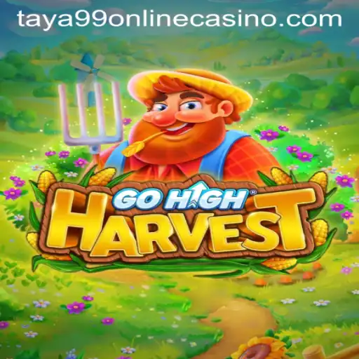 GoHighHarvest: A New Frontier in Online Gaming