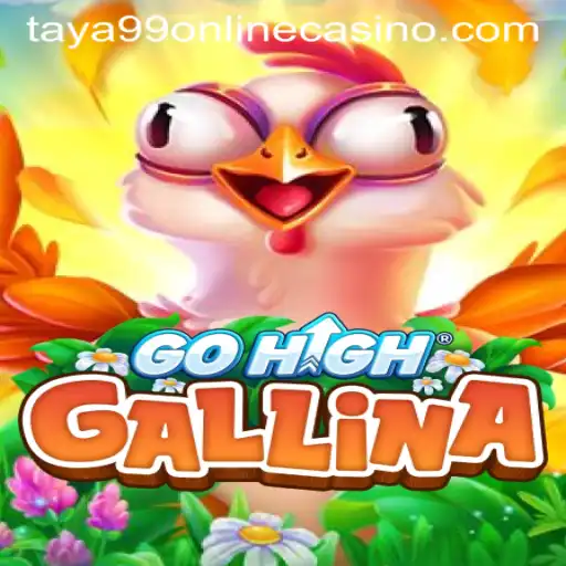 GoHighGallina: An Introduction to the Exciting World of Taya99 Online Casino
